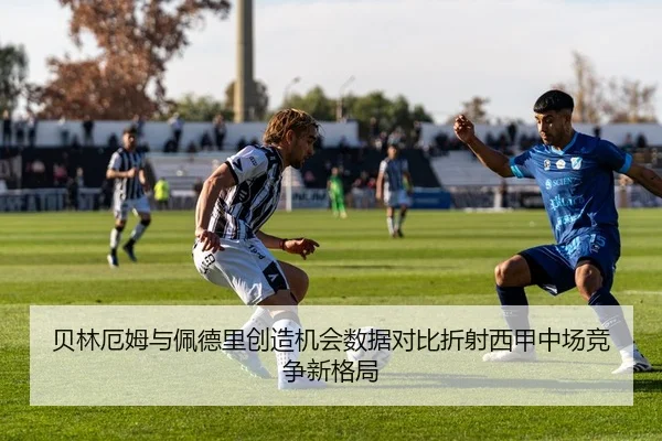 img_1783327890341_963_1_142.jpg